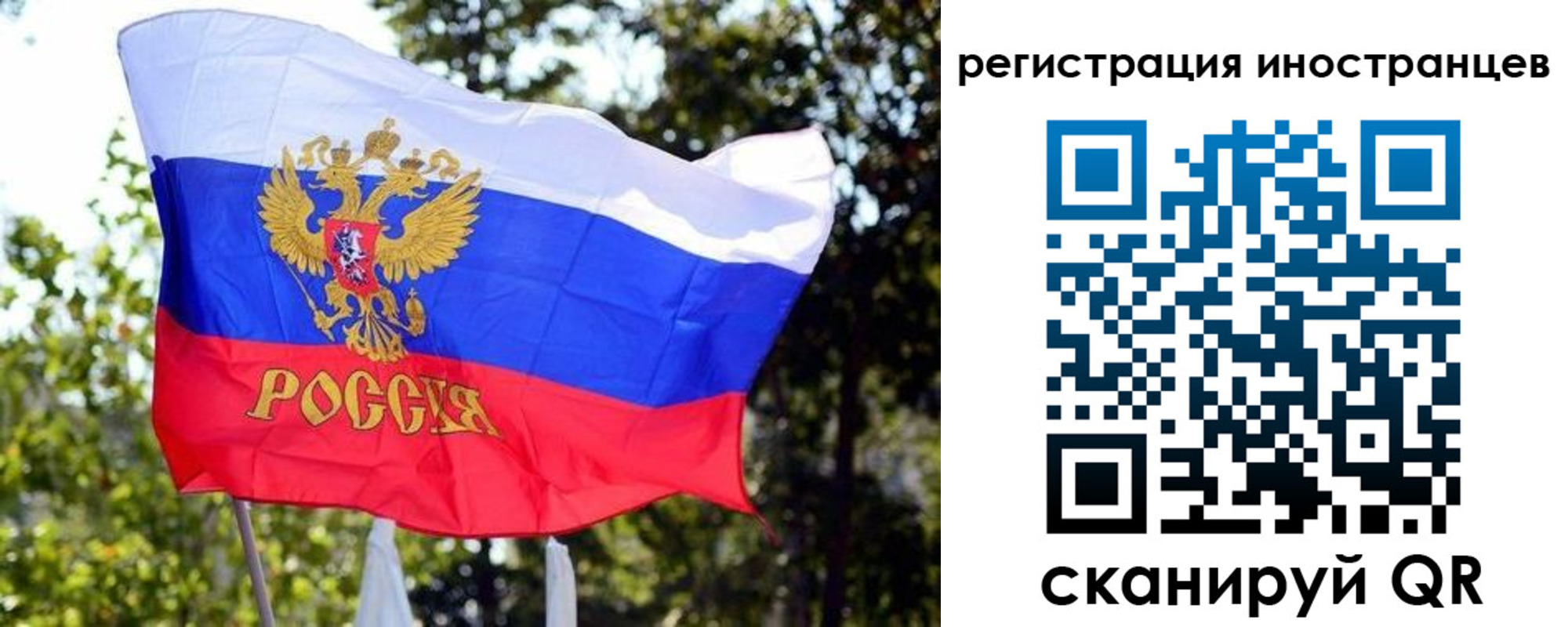 временная регистрация недорого в Кингисеппе